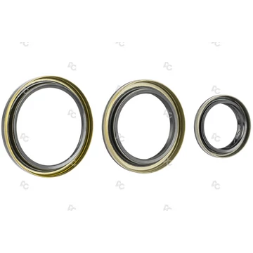 ELEKTRONIKUS DIFFERENCIÁLMŰ TÖMÍTŐKÉSZLET  (S-KIT)