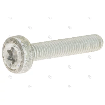 RÖGZÍTŐCSAVAR (907)