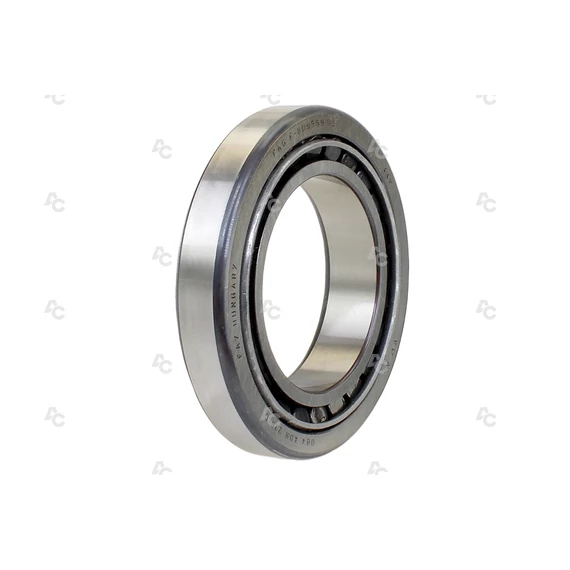 KÚPGÖRGŐS CSAPÁGY (695)